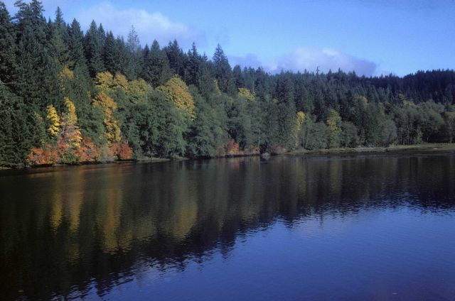 Tidal inlet in fall Picture
