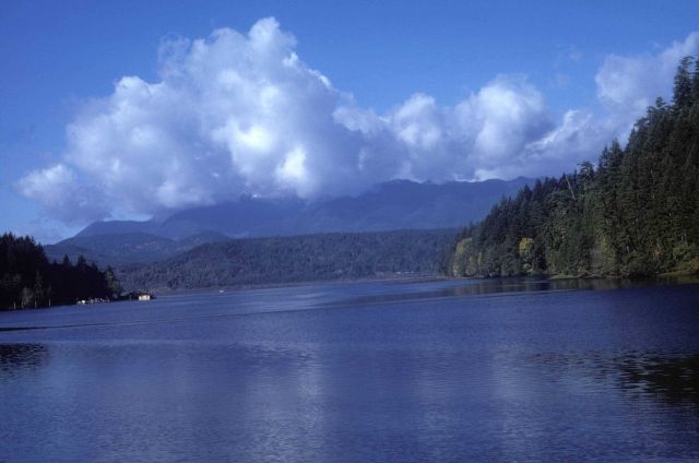 Tidal inlet in fall Picture