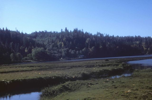 Tidal inlet in fall Picture