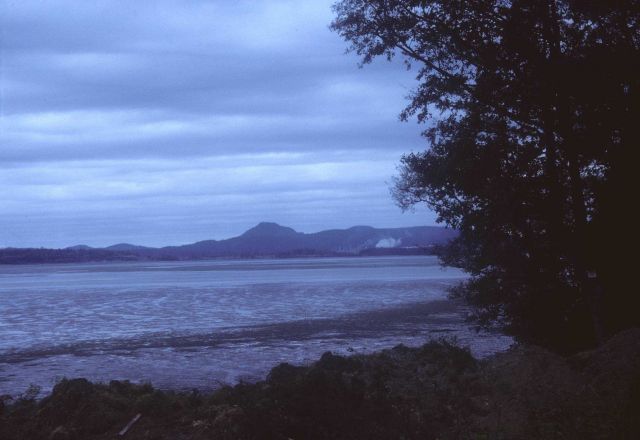Shallow bay at low tide showing extensive mud flats Picture