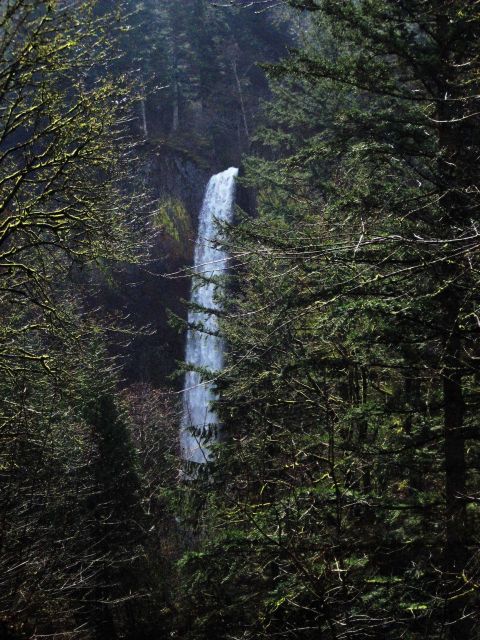 Multnomah Falls Picture