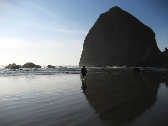 Haystack Rock at Cannon Beach at low tide Picture