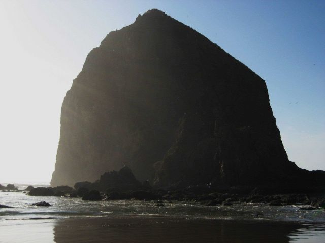 Haystack Rock at Cannon Beach at low tide Picture