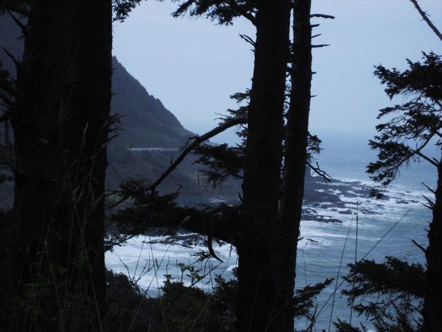 Trees, surf, rock, and fog. Picture