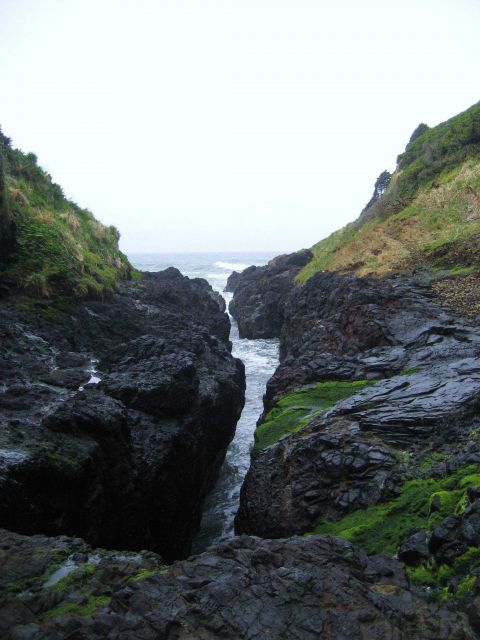 The sea working its way into the continent Picture