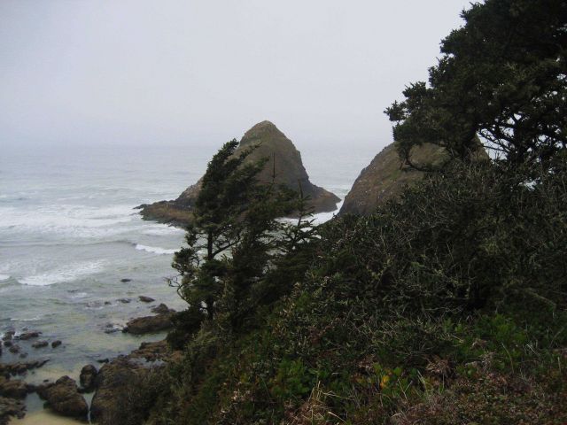 Island off Heceta Head Picture