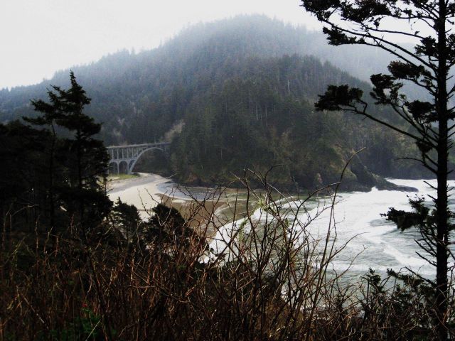Coastal stream meeting surf on an Oregon headland Picture