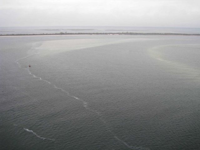 View to the west from Barnegat Lighthouse Picture