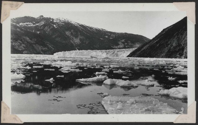 Taku Glacier. Picture