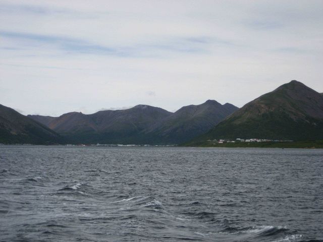 King Cove from at sea. Picture