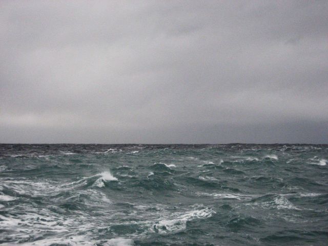 The demarcation line between glacial meltwater coming from the Glacier Bay region and oceanic water in the Gulf of Alaska. Picture