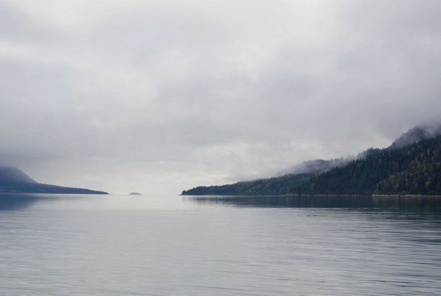 Looking south toward Glacier Bay from Blue Mouse Cove Picture