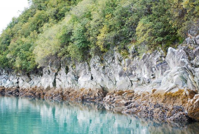 Rock cliff at north end of Blue Mouse Cove at half-tide. Picture