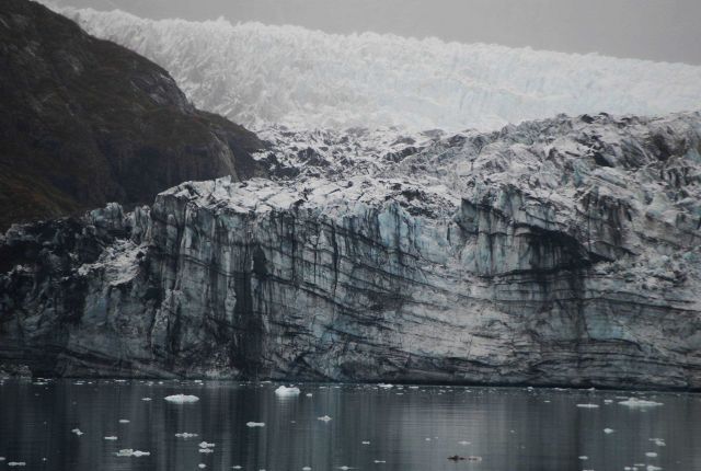 Margerie Glacier Picture