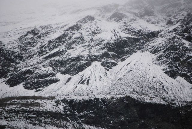 Bare rock with snow in Tarr Inlet Picture