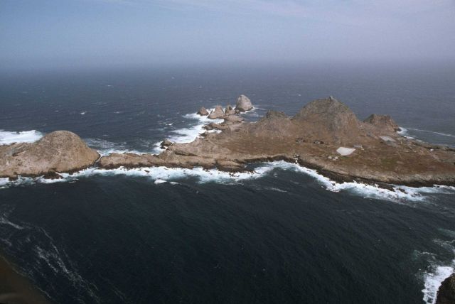 Aerial views of the wind-swept sea-swept Farallons, a virtual wilderness less than thirty miles from downtown San Francisco Picture