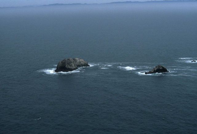 Aerial views of the wind-swept sea-swept Farallons, a virtual wilderness less than thirty miles from downtown San Francisco Picture