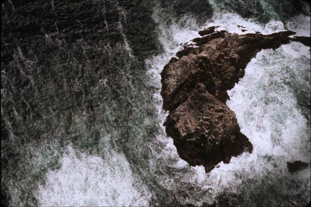 Aerial views of the wind-swept sea-swept Farallons, a virtual wilderness less than thirty miles from downtown San Francisco Picture
