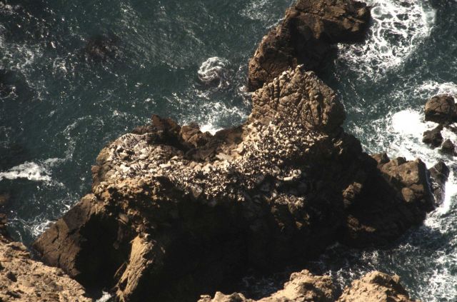 Boulder Rock area Picture