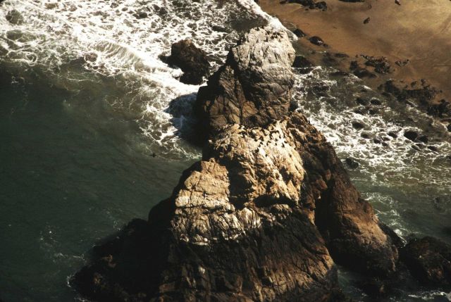 Northwest Rock Picture