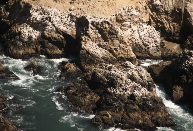Middle Rock Picture