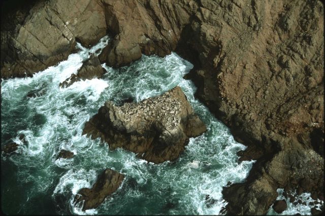 Rugged shoreline along Point Reyes. Picture