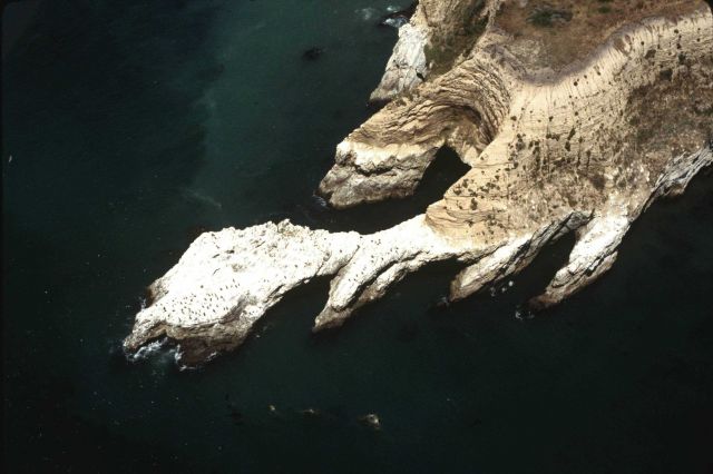 The bizarrely wave-sculpted headland at Point Resistance (or maybe not-so- resistant.) Picture