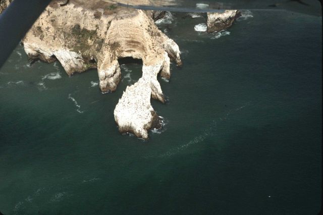The bizarrely wave-sculpted headland at Point Resistance (or maybe not-so- resistant.) Picture