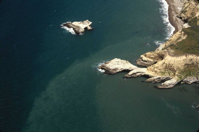 The bizarrely wave-sculpted headland at Point Resistance (or maybe not-so- resistant.) Picture