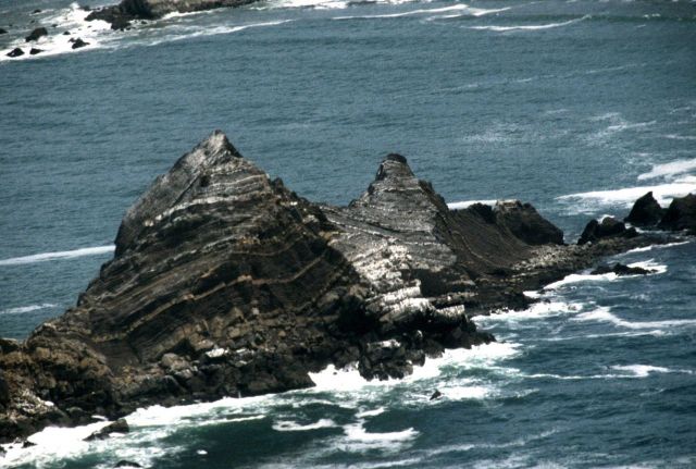 Tilted twisted beds on San Pedro Rock bear evidence to the tortured tectonic history of coastal California. Picture