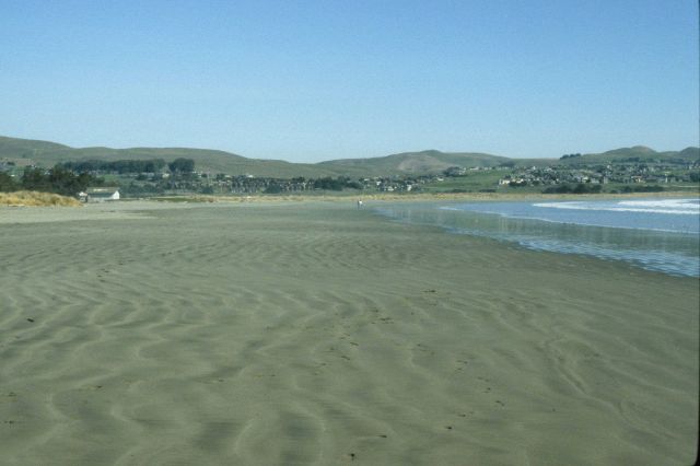 Doran Beach Picture