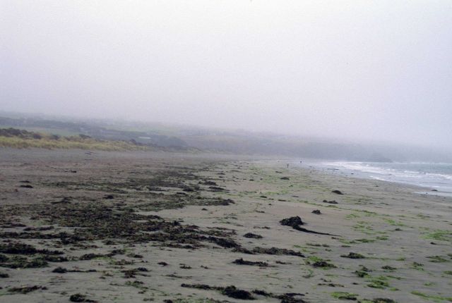 Doran Beach Picture