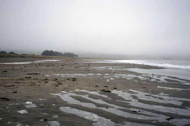 Doran Beach Picture