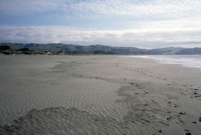 Doran Beach Picture