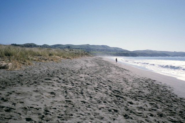 Doran Beach Picture