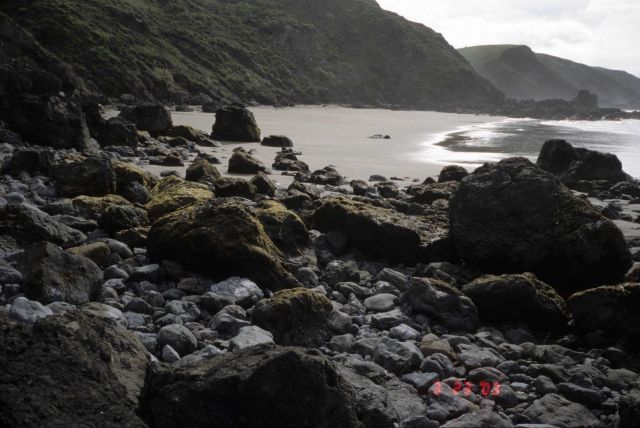 Pinnacle Gulch Beach Picture