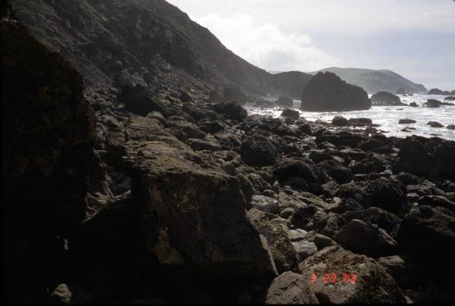 Pinnacle Gulch Beach Picture