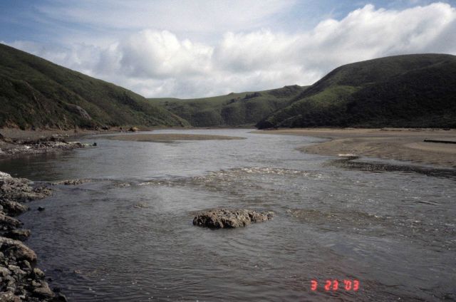 Pinnacle Gulch Beach Picture
