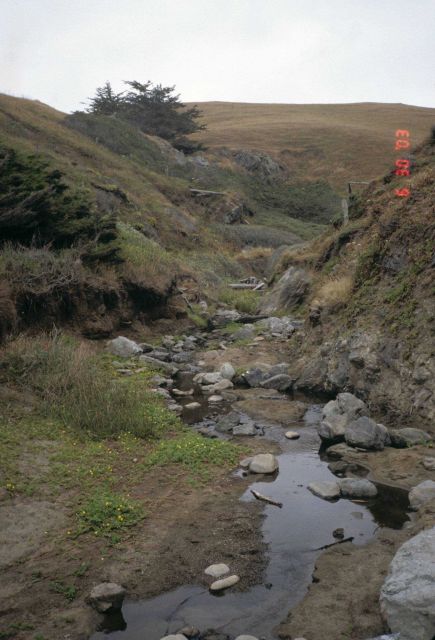 Pinnacle Gulch Beach Picture