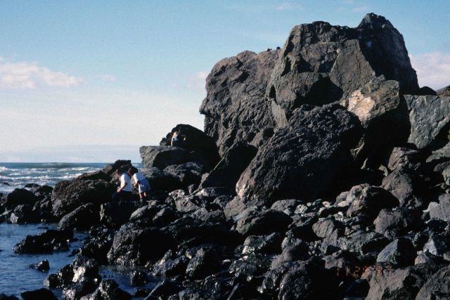 Dillon Beach Picture