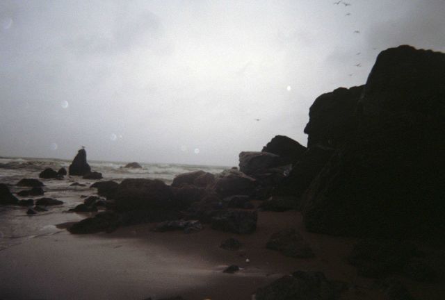 Dillon Beach Picture