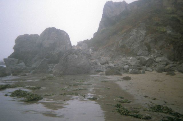 Dillon Beach Picture