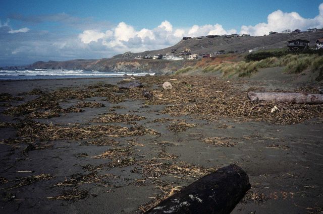 Dillon Beach Picture