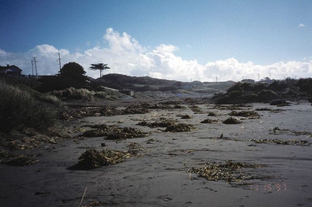 Dillon Beach Picture