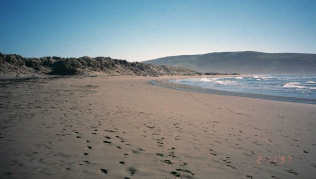 Dillon Beach Picture