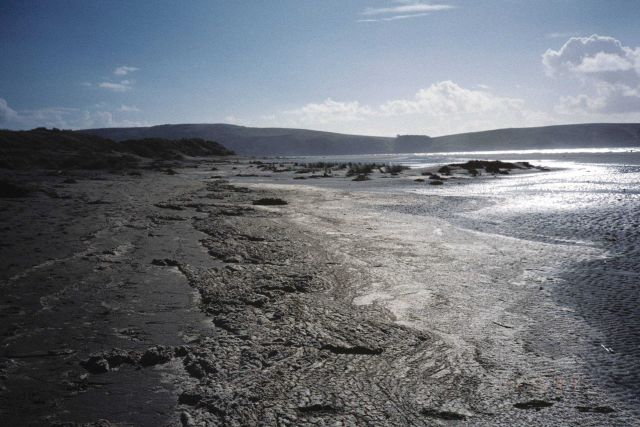 Dillon Beach Picture