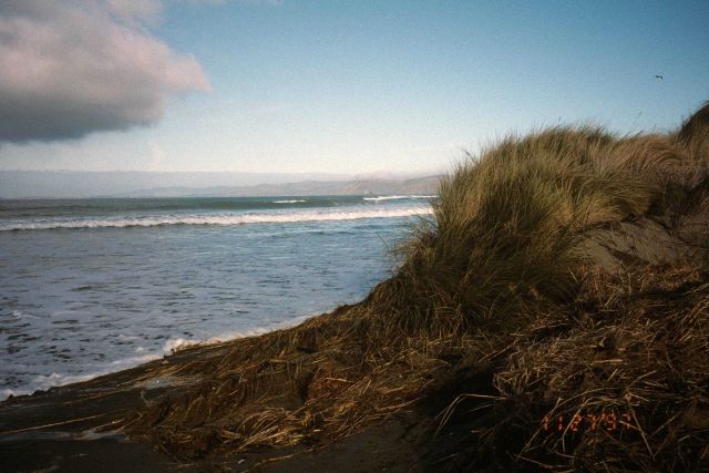 Dillon Beach Picture