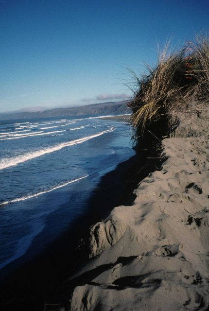 Dillon Beach Picture