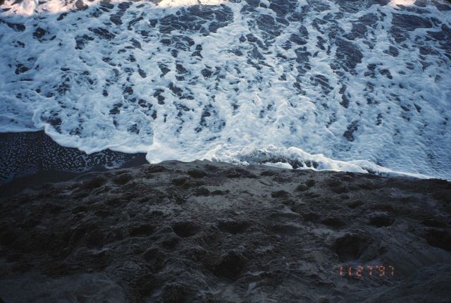 Dillon Beach Picture