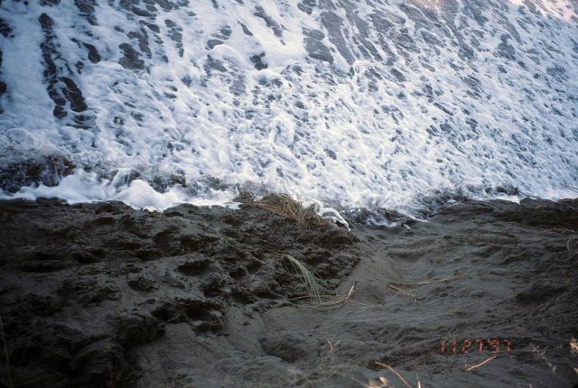 Dillon Beach Picture